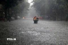 Mưa lớn khiến nhiều tuyến đường tại Nghệ An ngập nặng. (Ảnh: TTXVN phát)