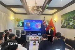 Sinh viên và chuyên gia tham dự Hội thảo tại đầu cầu Australia. (Ảnh: Lê Đạt/TTXVN)