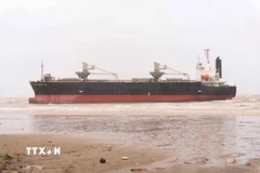 Tàu hàng Thanh Thàng Đạt 9 có chiều dài 151m, rộng 26m, trọng lượng 23.000 tấn xuất phát từ cảng Thịnh Long (Ninh Bình) đến cảng Nghi Sơn (Thanh Hóa) để bốc hàng thì bị chết máy. (Ảnh: TTXVN phát)