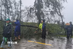 Ảnh minh họa: Lực lượng cảnh sát giao thông và người dân dọn dẹp cây ngã đổ trên đường. (Ảnh: Hoàng Ngà/ TTXVN)