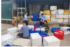 Lực lượng chức năng đã phát hiện, thu giữ gần 1.000 kg hàng hoá là thực phẩm không rõ nguồn gốc, không đảm bảo chất lượng vệ sinh an toàn thực phẩm như: hành phi, bò khô, ruốc…(Ảnh TTXVN phát)
