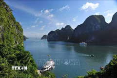 Di sản thiên nhiên thế giới Vịnh Hạ Long mang những giá trị đặc biệt, thắng cảnh thiên nhiên có một không hai trên thế giới. (Ảnh: Minh Đức/TTXVN)