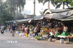 Hàng hóa bày kín vỉa hè, thậm chí tràn xuống lòng đường tại ngõ 101 phố Chu Huy Mân. (Ảnh: Thành Phương/TTXVN)