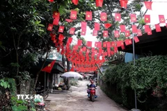 Rực rỡ cờ hoa tại các con đường thôn, xóm xã Cao Sơn, hướng đến Đại hội Đảng bộ tỉnh Phú Thọ lần thứ nhất. (Ảnh: Thanh Hải/TTXVN)