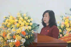 Đồng chí Đào Hồng Lan, Ủy viên Trung ương Đảng, Bí thư Đảng ủy, Bộ trưởng Bộ Y tế phát biểu khai mạc. (Ảnh: Minh Quyết/TTXVN)