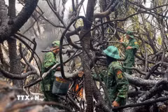 Lực lượng Bộ đội Biên phòng nỗ lực dập lửa cháy rừng phòng hộ tại xã Đông Trạch. (Ảnh: TTXVN phát)