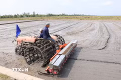 Cơ giới hóa trong khâu gieo sạ ở thành phố Cần Thơ. (Ảnh: Thu Hiền/TTXVN)