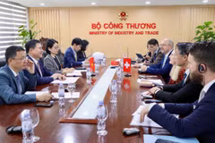 Quang cảnh buổi làm việc. (Ảnh: moit.gov.vn)