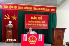 Cử tri cao tuổi xã Tân Minh tích cực tham gia đi bỏ phiếu. (Ảnh: TTXVN phát)