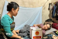 Cử tri Hà Văn Côi bị tai biến nằm một chỗ được Tổ bầu cử số 3 bản Na Nghịu, xã biên giới Sơn Điện (Thanh Hóa) đưa hòm phiếu lưu động đến nhà để thựchiện quyền bầu cử.