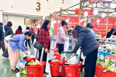 Người dân háo hức mua sắm các sản phẩm tại Hội chợ. (Nguồn: Vietnam+)