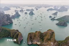 Các tàu du lịch trên Vịnh Hạ Long. (Ảnh: Hoàng Hiếu/ TTXVN)