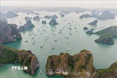 Phong cảnh tuyệt đẹp của Vịnh Hạ Long thu hút sự quan tâm của nhiều du khách. (Ảnh: Hoàng Hiếu/ TTXVN)