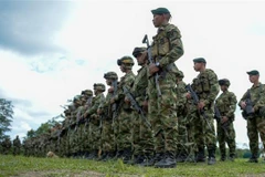 Binh sỹ Colombia tham gia cuộc diễn tập tại khu vực Tumaco, Narino. (AFP/TTXVN)