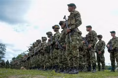 Binh sỹ Colombia tham gia cuộc diễn tập tại khu vực Tumaco, Narino. (AFP/TTXVN)