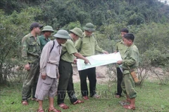 Tổ tuần tra, bảo vệ rừng thuộc Trạm quản lý bảo vệ rừng Nga My (Hạt Kiểm lâm Pù Huống) xác định tọa độ thực địa trong vùng lõi khu bảo tồn thiên nhiên Pù Huống. (Ảnh: Xuân Tiến/TTXVN)