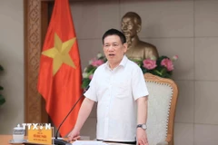 Phó Thủ tướng Hồ Đức Phớc phát biểu. (Ảnh: An Đăng/ TTXVN)