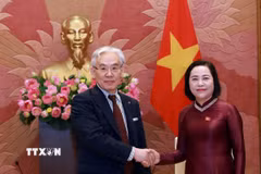 Phó Chủ tịch Quốc hội Nguyễn Thị Thanh tiếp Giáo sư, Tiến sỹ, Bác sỹ Shinichi Higashiu, Chủ tịch Tập đoàn y tế Tokushukai (Nhật Bản). (Ảnh: Tuấn Anh/TTXVN)