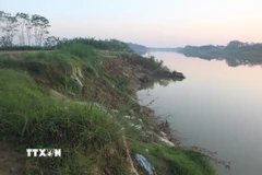 Tại thôn Yên Lạc, xã Vĩnh Lộc, dọc bờ sông Mã đoạn chảy qua địa bàn đang có nguy cơ sạt lở đất đất nông nghiệp của người dân và uy hiếp tính mạng của gần 20 hộ dân quanh vùng. (Ảnh: Khiếu Tư/TTXVN)