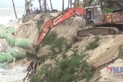 Đà Nẵng “Vá” khẩn cấp bờ biển Hội An trước khi bão số 12 vào đất liền