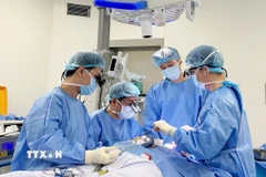 (Ảnh minh họa: TTXVN phát)