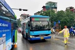 Nhiều xe buýt đi sai luồng tuyến tại khu vực phía Bắc Cầu Chương Dương bị lực lượng chức năng phát hiện và xử lý sáng 18/11/2025. (Ảnh: TTXVN phát)