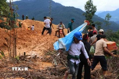 Lực lượng tình nguyện và các nhà hảo tâm tích cực tham gia công tác vận chuyển lương thực, thực phẩm, nước uống cho đồng bào. (Ảnh: Đoàn Hữu Trung/TTXVN)