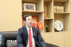 Tổng Lãnh sự Việt Nam tại Trùng Khánh (Trung Quốc) Bùi Nguyên Long. (Ảnh: Công Tuyên/TTXVN)