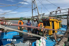 Đến 14 giờ ngày 23/8, các đơn vị của Ban Chỉ huy Bộ đội biên phòng Nghệ An đã thông báo cho 408 phương tiện biết vị trí, hướng di chuyển của bão. (Ảnh: TTXVN phát)