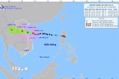 Thông tin về cơn bão số 5 lúc 21 giờ ngày 24/08. (Ảnh: TTXVN)