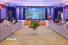 Quang cảnh Hội thảo. (Ảnh: Công Luật/TTXVN)
