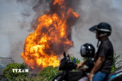  Ảnh minh họa: (THX/TTXVN) 