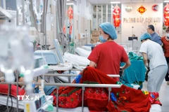 Công tác cấp cứu của nhân viên y tế cho bệnh nhân tại Bệnh viện. (Ảnh: Minh Quyết/TTXVN)