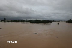 Nhiều vùng tại Đà Nẵng chìm trong biển nước. (Ảnh: Anh Dũng/TTXVN)