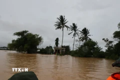 Nước ngập ngang nhà dân tại Đà Nẵng. (Ảnh: Anh Dũng/TTXVN)