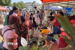 Bất chấp những khó khăn của cuộc sống, quầy bán hoa luôn đông khách. (Ảnh: Việt Hùng/TTXVN)