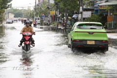 Đường Trần Văn Hoài, phường Tân Thành, tỉnh Cà Mau, ngập sâu trong nước do triều cường dâng cao kết hợp mưa to. (Ảnh: Tuấn Phi/TTXVN)