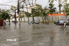 Một góc ở nội ô tỉnh Cà Mau ngập sâu trong nước. (Ảnh: Tuấn Phi/TTXVN)