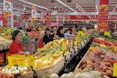 Siêu thị Go Thăng Long của Tập đoàn Central Retail Việt Nam. (Ảnh: Trần Việt/TTXVN)