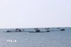 Nghề nuôi biển đang được đầu tư phát triển tại vùng biển xã Vĩnh Hải, tỉnh Khánh Hòa. (Ảnh: Công Thử/TTXVN)