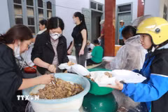 Nhân dân Bản Phúc Khoa, Không ai bảo ai, chia nhau mỗi người một việc sao có những suất cơm đến sớm nhất vùng rốn lũ. (Ảnh: Quý Trung/TTXVN)