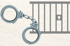 Ảnh minh họa. (Ảnh: Vietnam+)