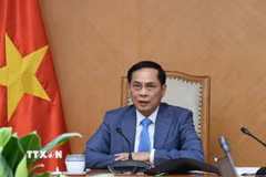 Phó Thủ tướng Bùi Thanh Sơn. (Ảnh: TTXVN phát)