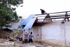 Hỗ trợ xóa nhà tạm, nhà dột nát đối với con đẻ của người hoạt động kháng chiến bị nhiễm chất độc hóa học. (Ảnh minh họa: Quang Cường/TTXVN)