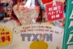 Hạt gạo Việt trên hành trình chinh phục thị trường Nhật Bản