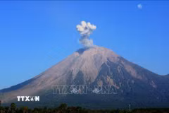 Tro bụi phun lên từ núi lửa Semeru, tỉnh Đông Java, Indonesia. (Ảnh minh họa: THX/TTXVN)