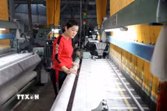 Thợ dệt lụa tại Cơ sở sản xuất kinh doanh lụa Nha Xá Nguyệt Hưng Silk. (Ảnh: Thanh Tuấn/TTXVN)