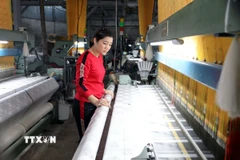Thợ dệt lụa tại Cơ sở sản xuất kinh doanh lụa Nha Xá Nguyệt Hưng Silk. (Ảnh: Thanh Tuấn/TTXVN)