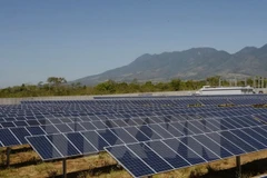 Các tấm gương hấp thụ năng lượng Mặt Trời. (Nguồn: AFP/TTXVN)