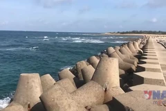 Hải Phòng: Đặc khu Bạch Long Vĩ phòng chống bão Ragasa